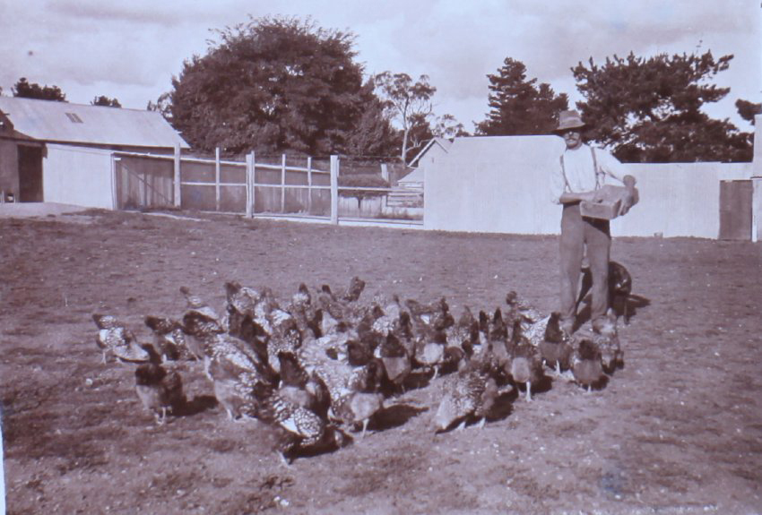 Unidentified man with chickens