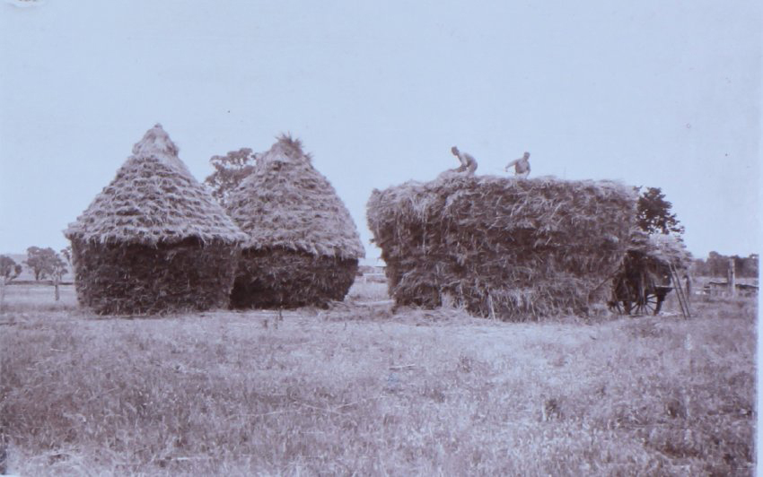 Haystacks