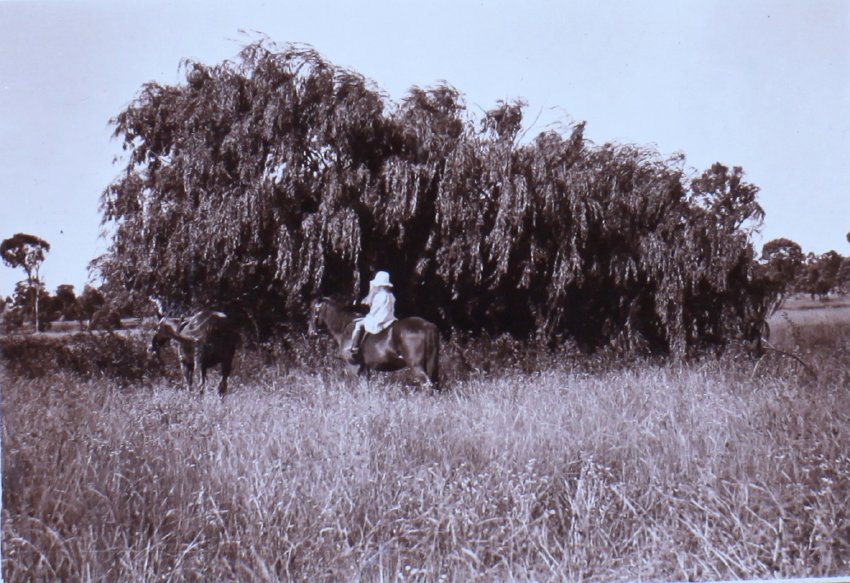 Unidentified child on horseback