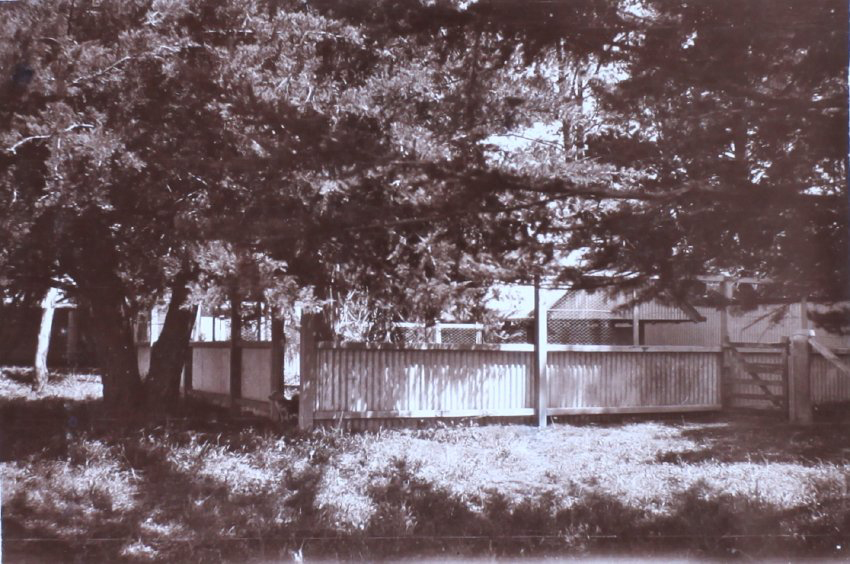 Farm building with dog