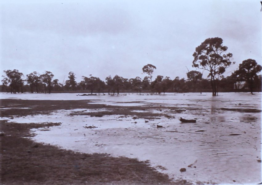 Saumarez Creek in flood