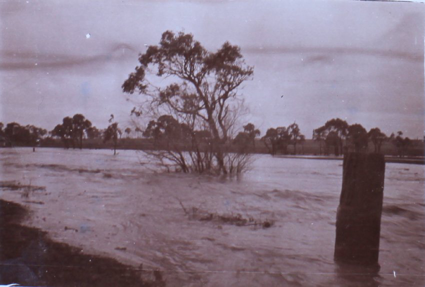 Saumarez Creek in flood