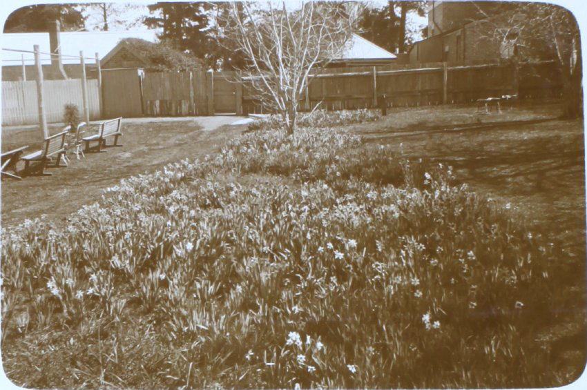 Flower gardens at Saumarez