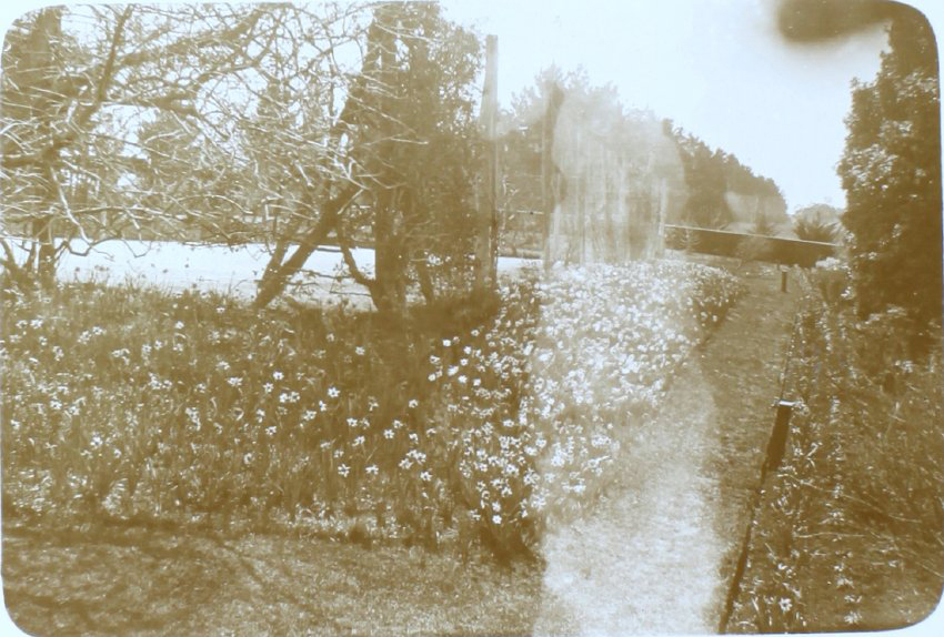 Flower gardens at Saumarez