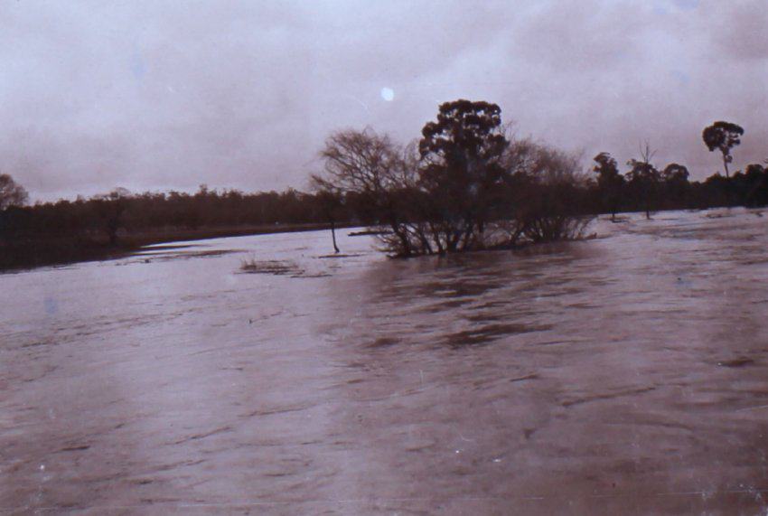 Saumarez Creek in flood