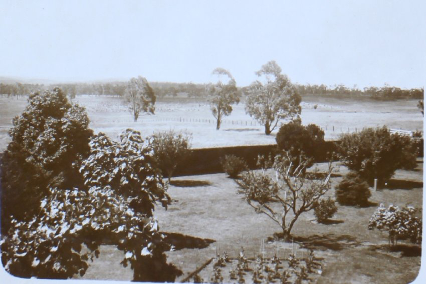Overhead view of gardens
