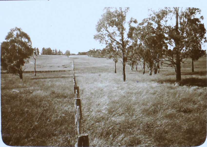Fenceline on the property