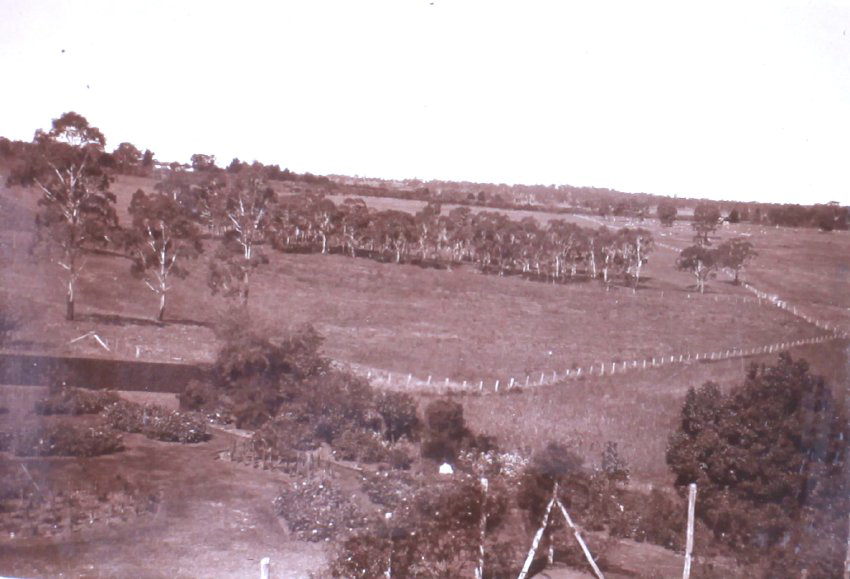 View from Saumarez Homestead