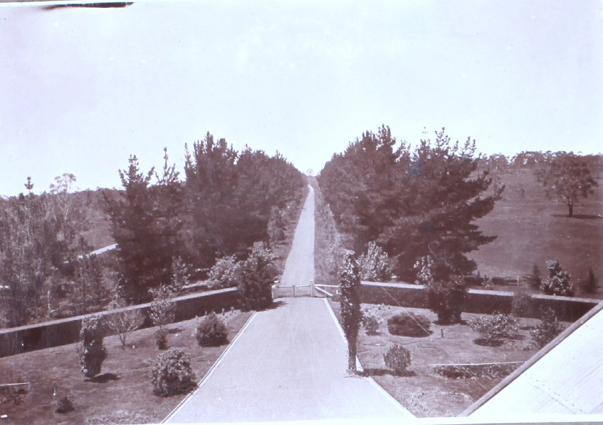 View from Saumarez Homestead