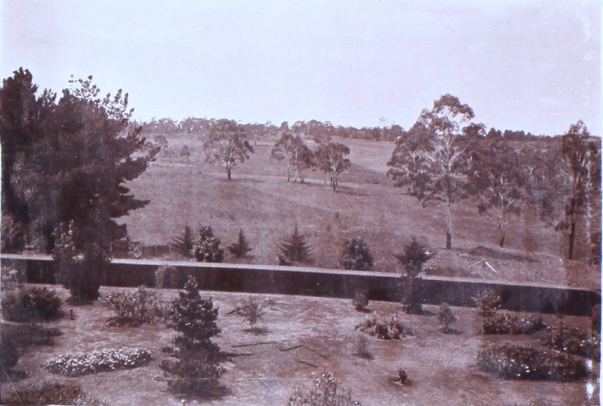 View from Saumarez Homestead
