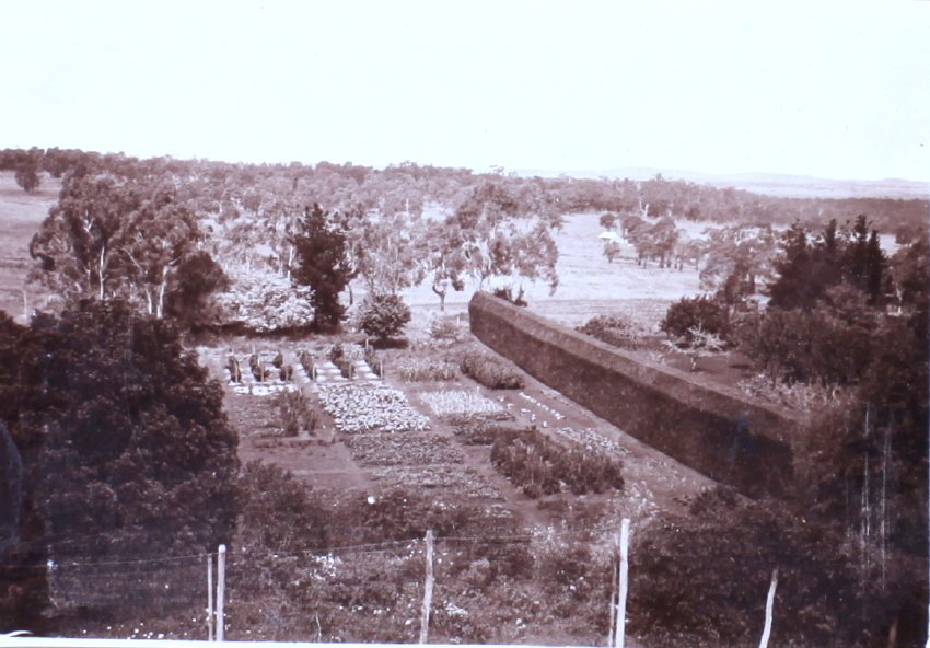 View from Saumarez Homestead
