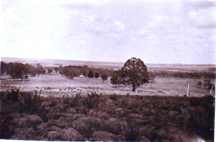 View from Saumarez Homestead