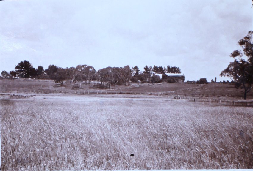 View of Saumarez Homestead
