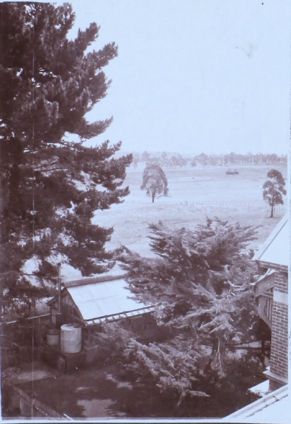 View from Saumarez Homestead