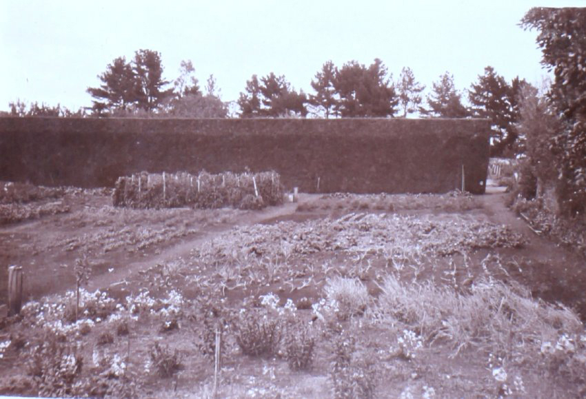 Saumarez Homestead gardens