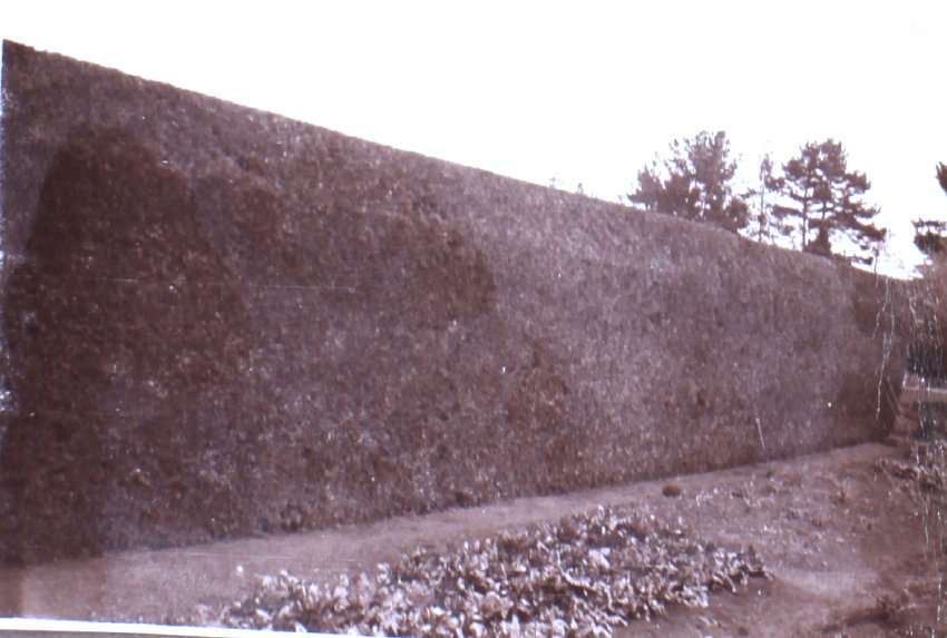 Saumarez Homestead gardens