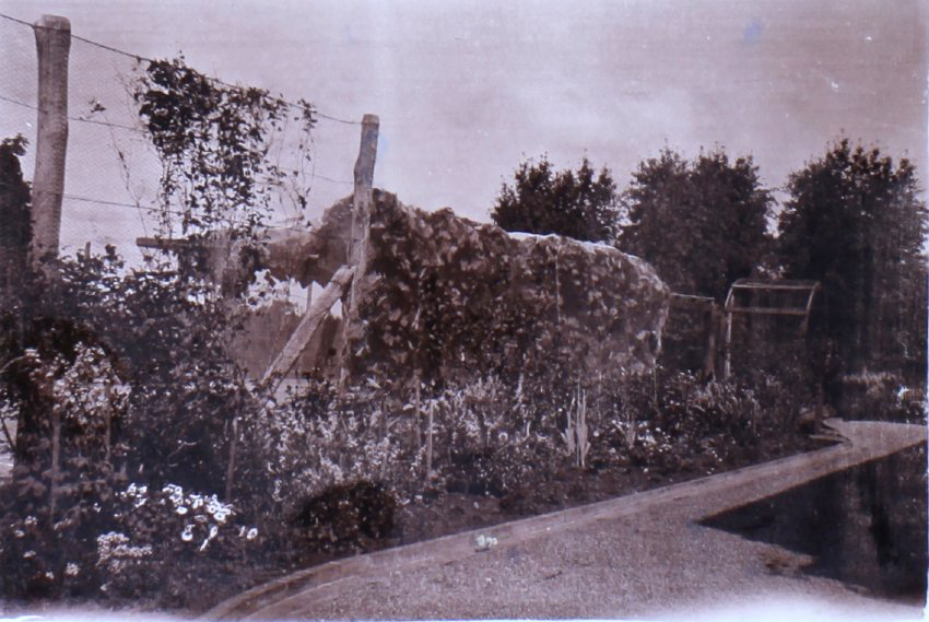 Saumarez Homestead gardens