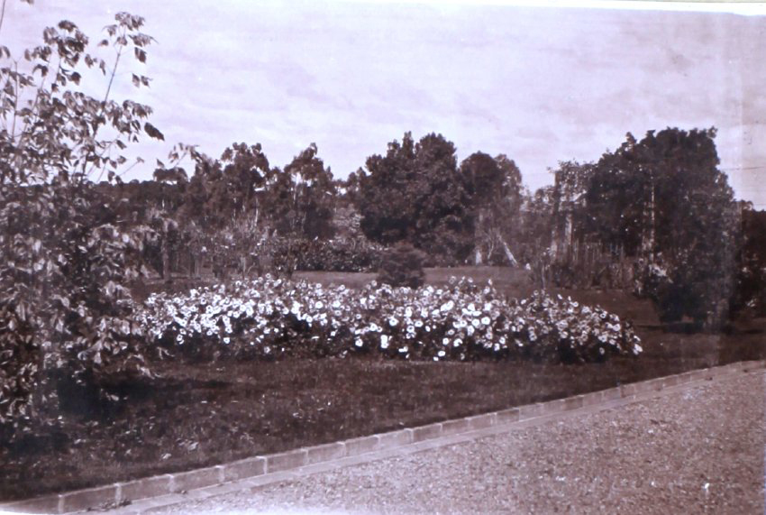 Saumarez Homestead gardens