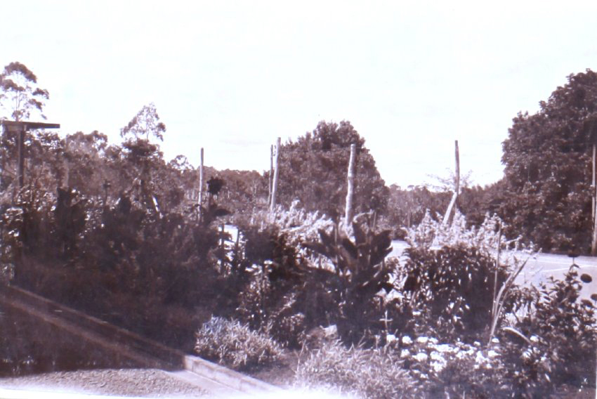 Saumarez Homestead gardens