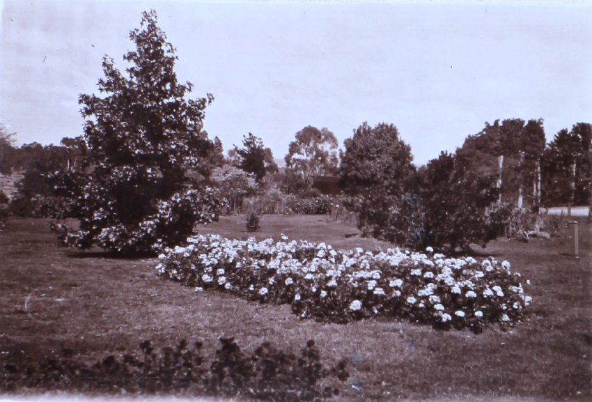 Saumarez Homestead gardens