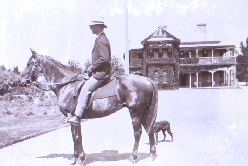 Unidentified mounted rider and dog