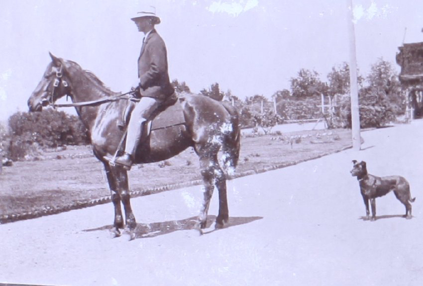 Unidentified mounted rider and dog