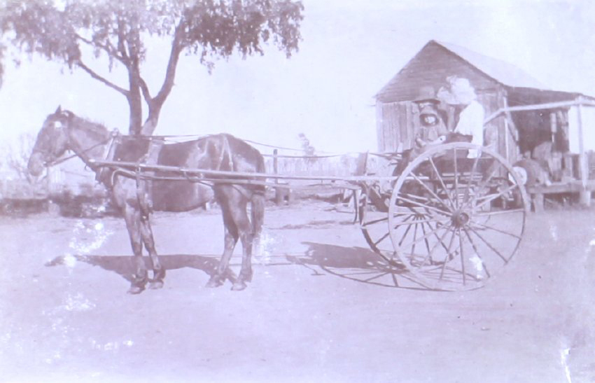 Unidentified man, woman and child in a horse and buggy