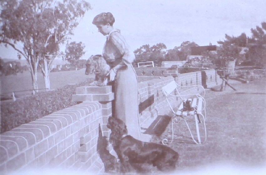 Unidentified woman with pet dogs