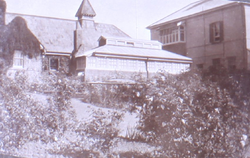 Baroona, Singelton, NSW