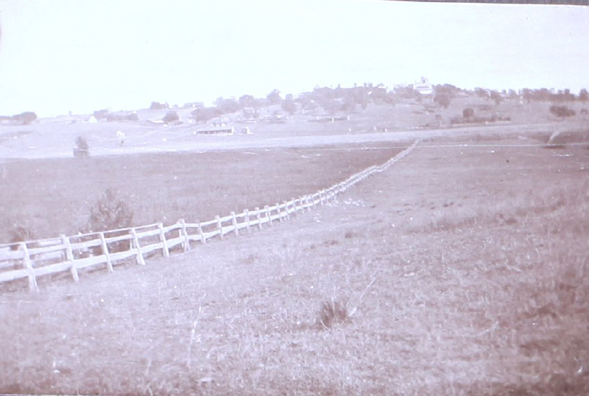 View of paddock looking back at buildings