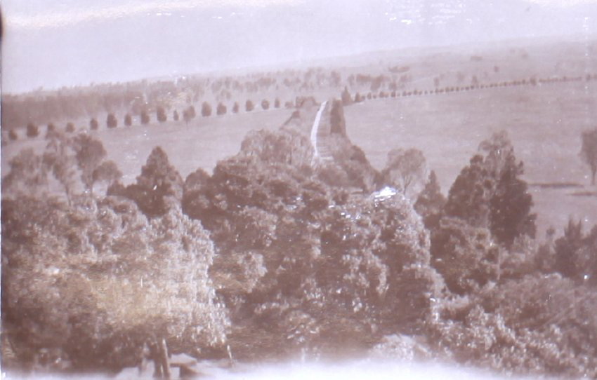 View of driveway with trees in the foreground