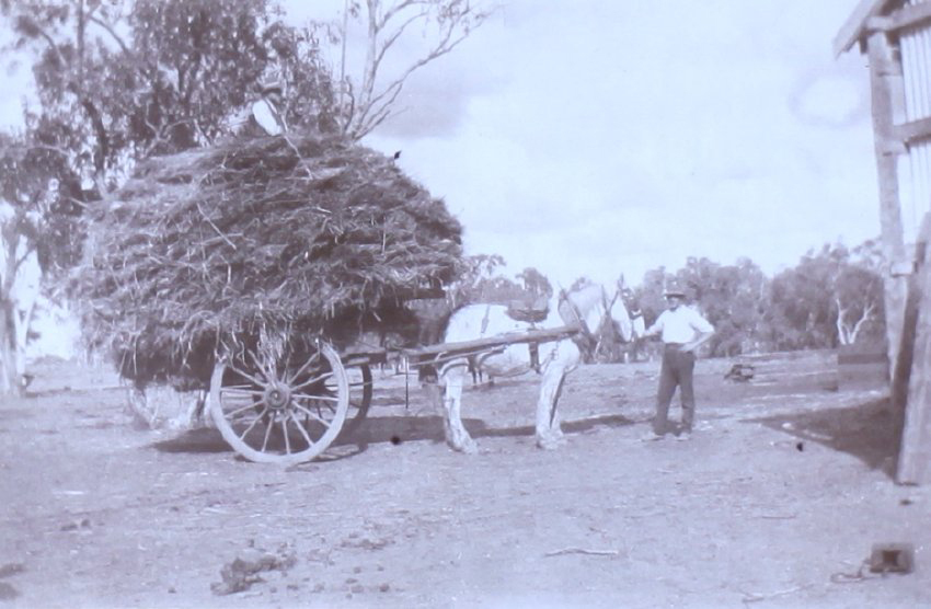 Unidentified workmen with horse and loaded cart