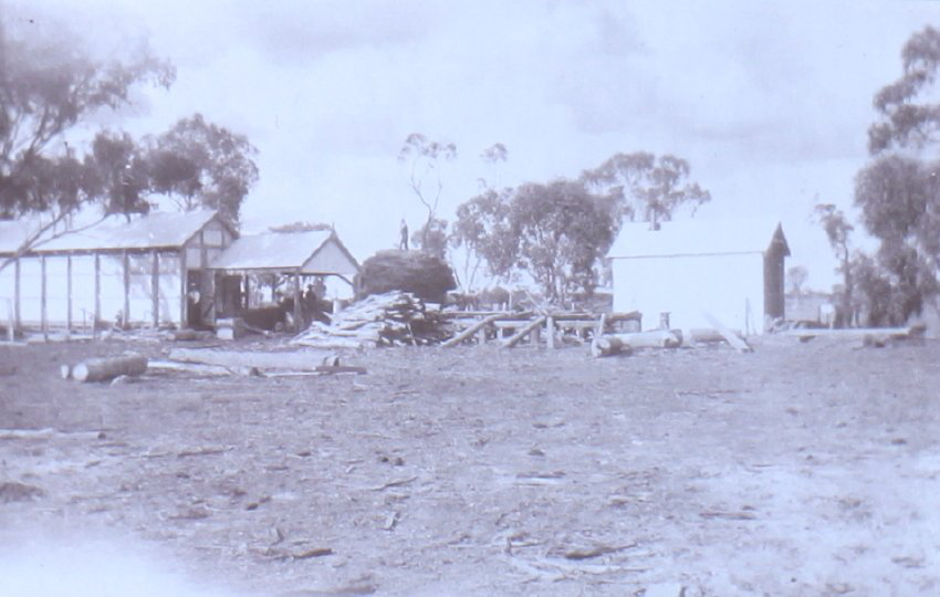 Unidentified workmen with loaded cart and cut logs in foreground