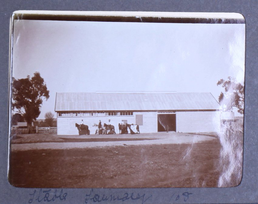 Stable, Saumarez /08