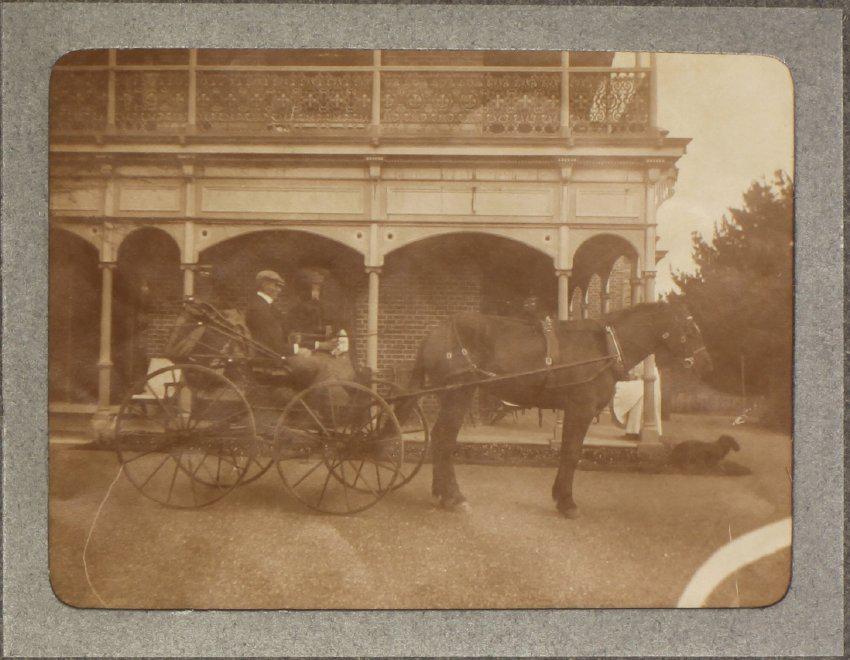 Unidentified man in a horse and buggy in front of Saumarez Homestead