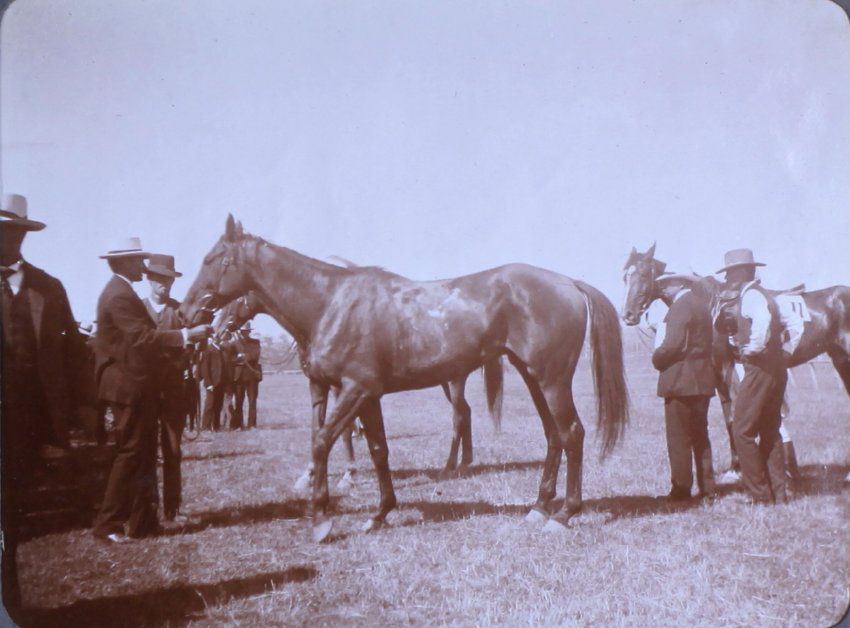 Unidentified men with a racehorse
