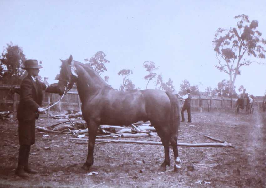 Unidentified young man holding a horse