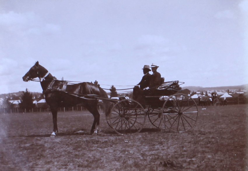 Two unidentified men in a buggy