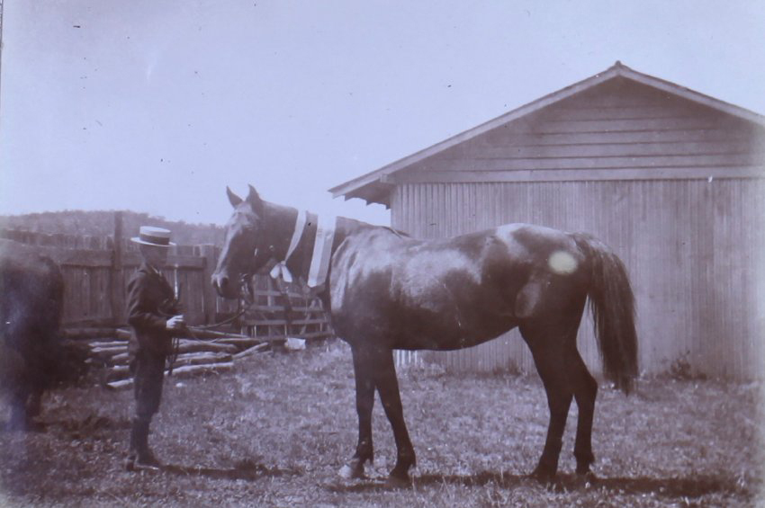 Unidentified young man holding a horse