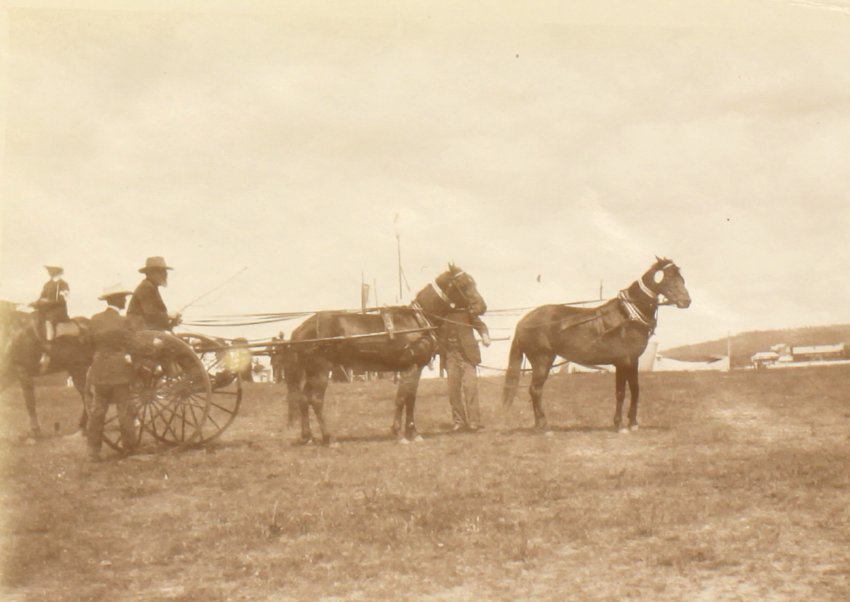 Unidentified men with horses and buggy