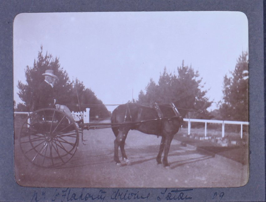 Mr. C. Flaharty driving Satan /09