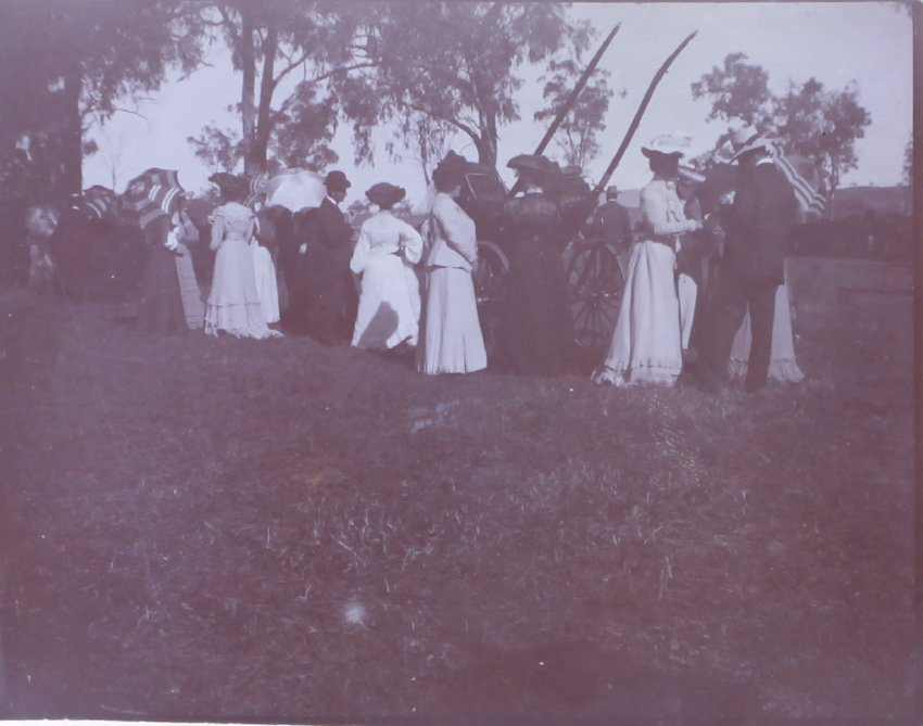 Unidentified group in a paddock