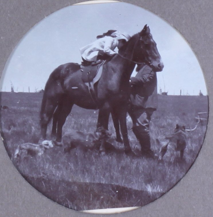 Unidentified woman on horseback with a man and pet dogs
