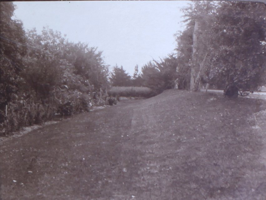 Lawn and gardens at Saumarez Homestead