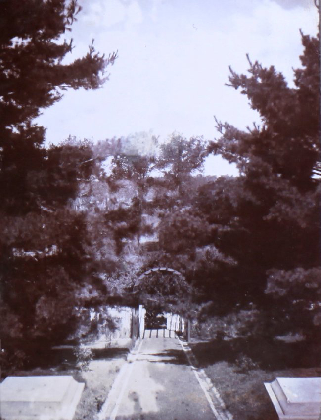 View of a garden path with large trees on either side
