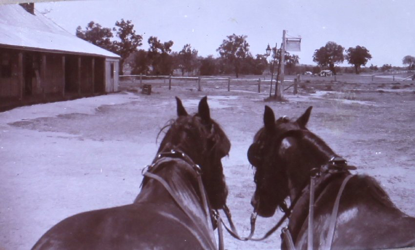 View of building and signpost from the front of a wagon