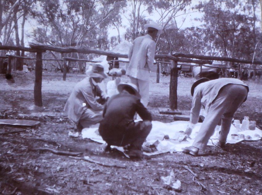Unidentified group at a picnic