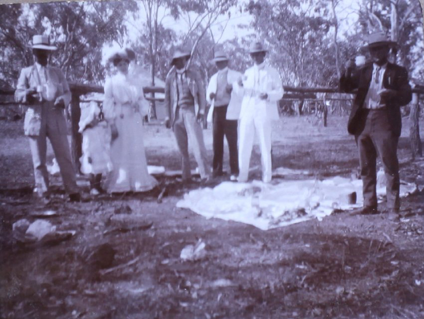 Unidentified group at a picnic