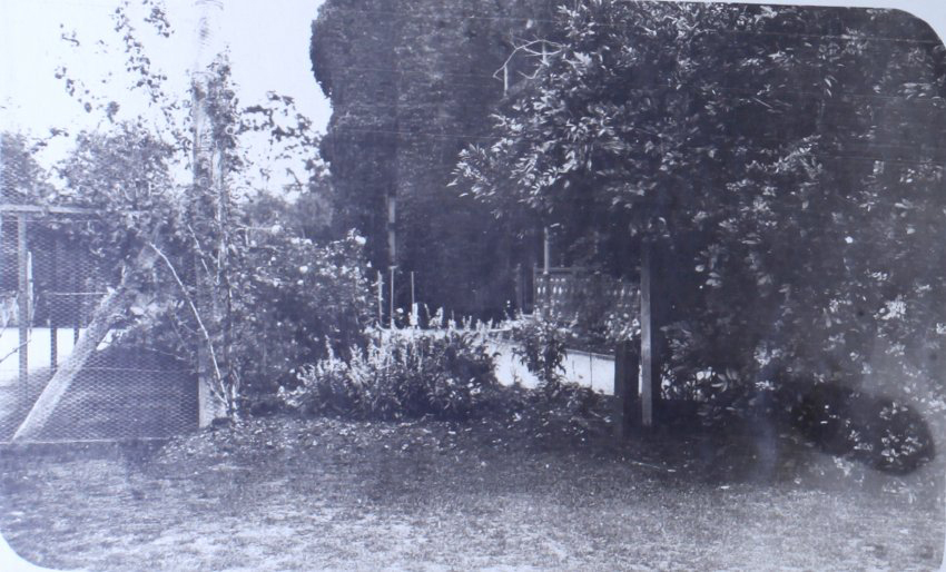 View of gardens