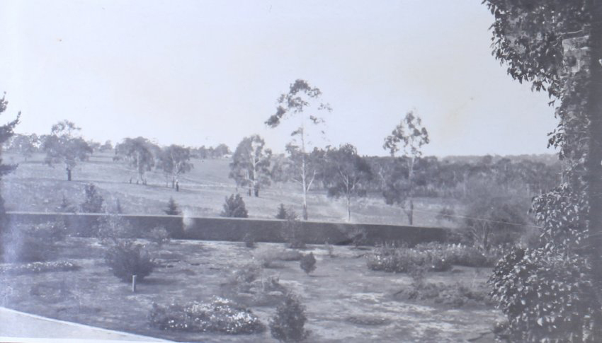 View from house over gardens and paddocks